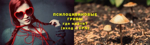 ГАЛЛЮЦИНОГЕННЫЕ ГРИБЫ Абинск