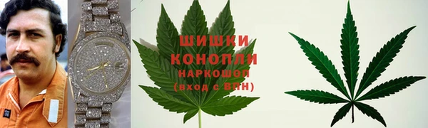 сатива Абаза