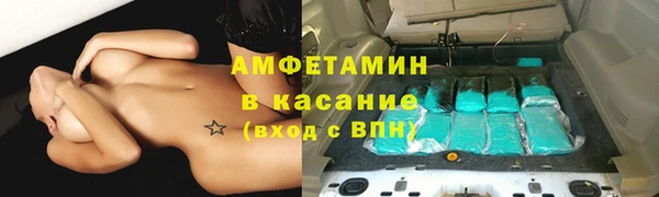 сатива Абаза