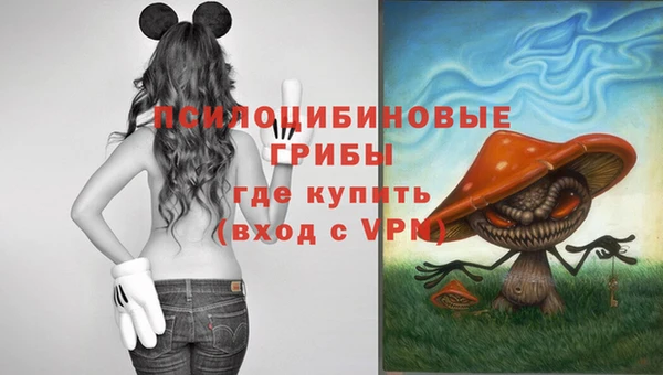 ГАЛЛЮЦИНОГЕННЫЕ ГРИБЫ Абинск